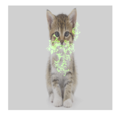 Photo d'un chat avec attribution de caractéristiques en superposition